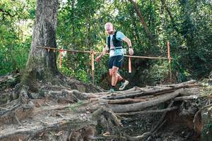 BIB: 
                            <button type="button" onclick="openModal(27744031)" class="btn btn-primary btn-sm float-right btn-popup" data-toggle="modal" data-target=".modal-high-quality">
                        <i class="fas fa-shopping-cart"></i> Add to Cart
                    </button>
                                            <button type="button" onclick="isThisMe(27744031, true)" class="btn btn-success btn-sm float-right btn-popup btn-isme hidden" data-toggle="tooltip" data-placement="bottom" title="นี่คือรูปของคุณใช่ไหม คลิกที่นี่เพื่อเอาเข้าอัลบั้ม">
                        <i class="fas fa-plus"></i> Add to album
                    </button>
                    <button type="button" onclick="isThisMe(27744031, false)" class="btn btn-warning btn-sm float-right btn-popup btn-isnotme hidden">
                        <i class="fas fa-ban"></i> Remove from album
                    </button>